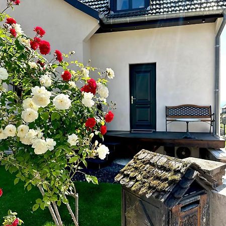 Apartament L'Escale Riquewihr Zewnętrze zdjęcie